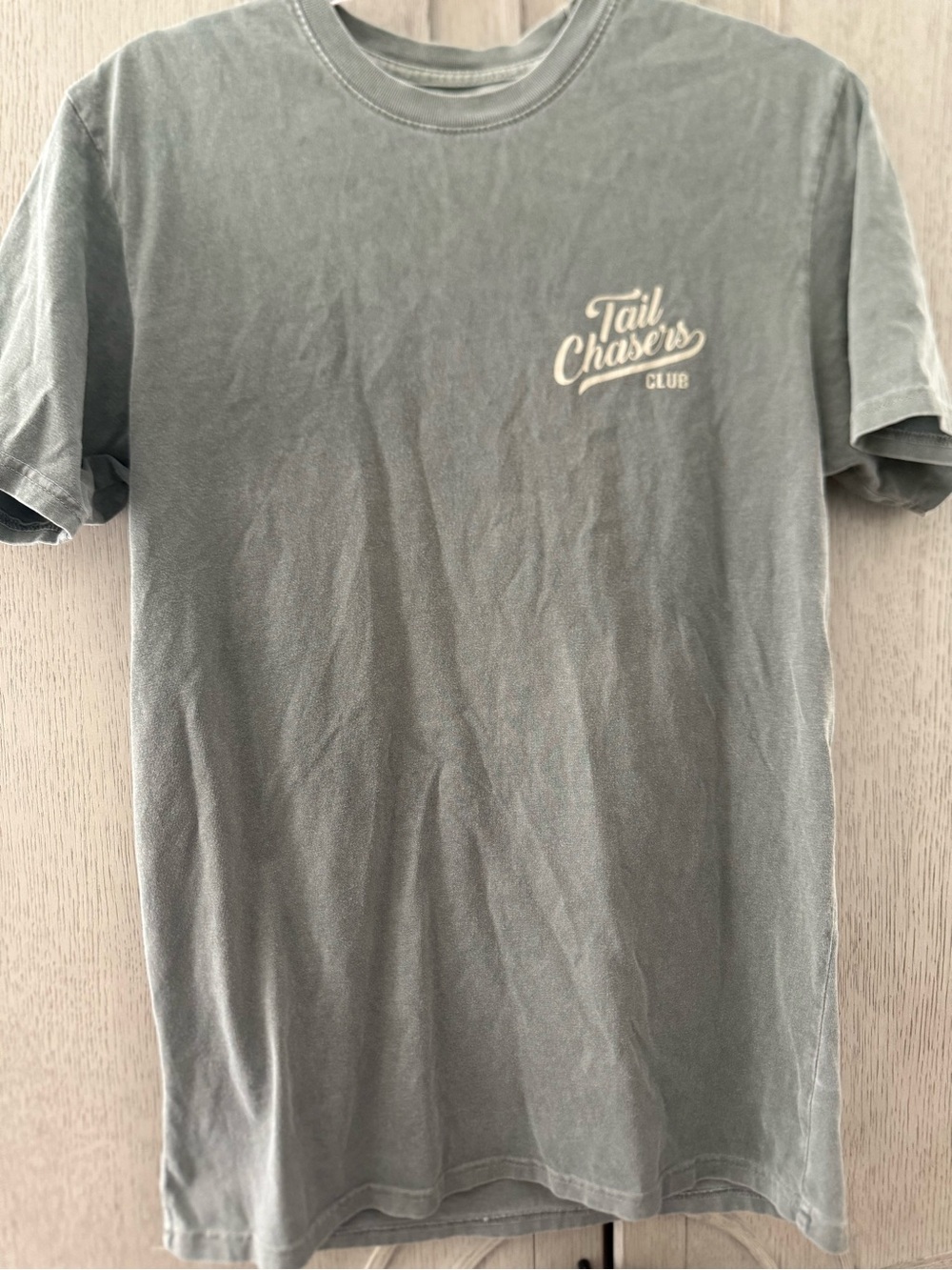 Short Sleeve Tee in Washed Sage